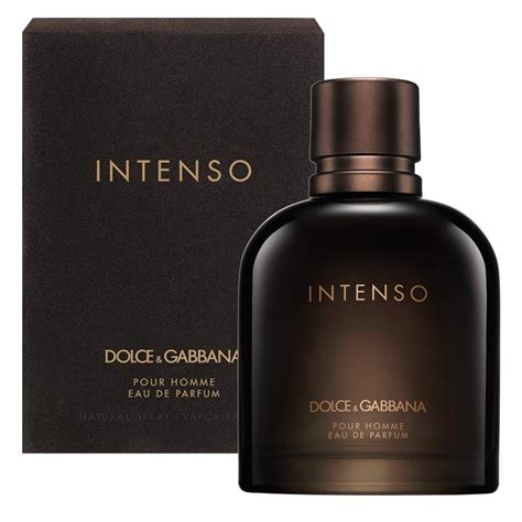 dolce gabbana intenso vs pour homme|dolce gabbana intense for men.